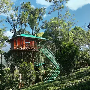 Dream Catcher Plantation Resort Munnar